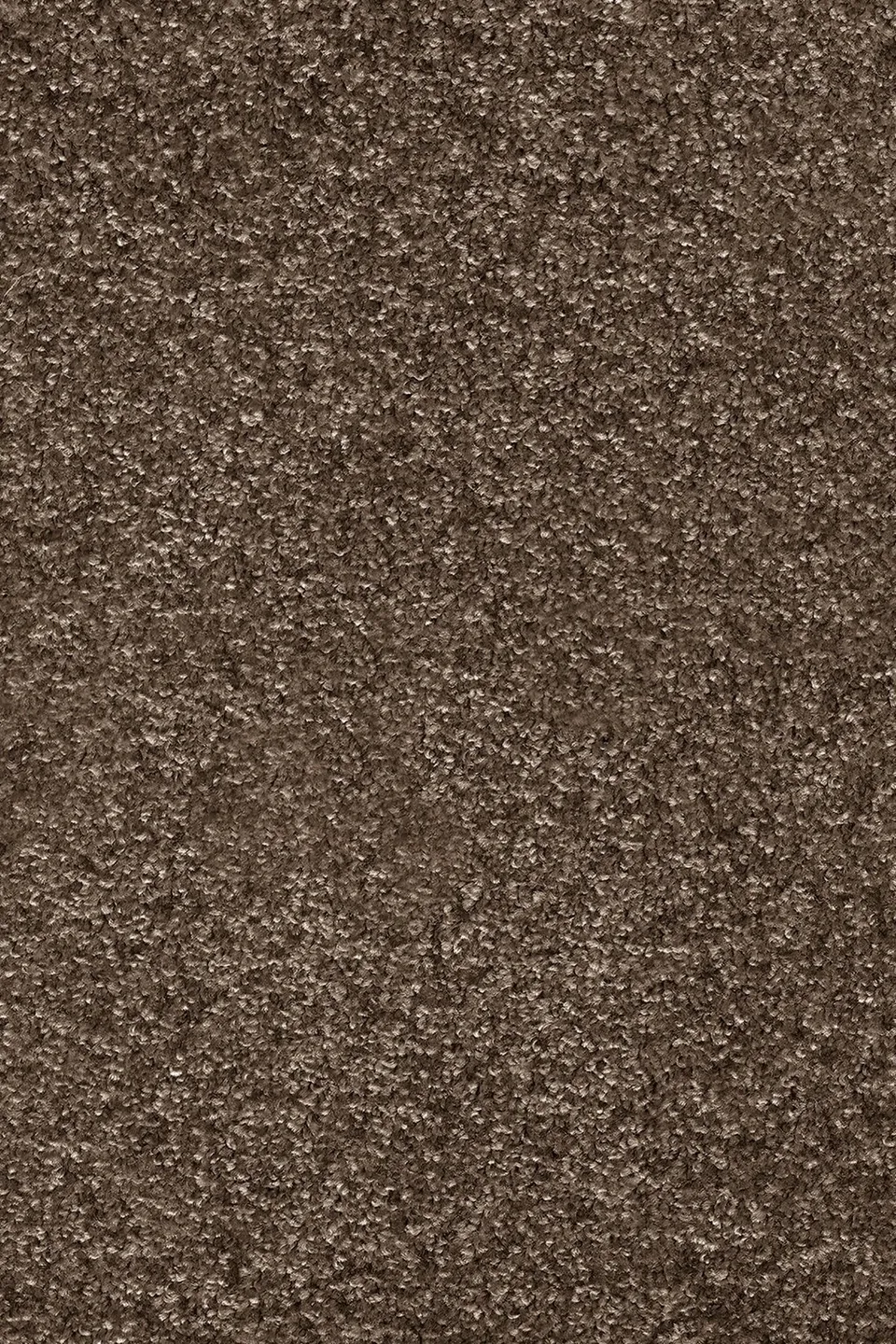 Invictus Priscus 40 teppeflis Attic 2,94 m² nøytral