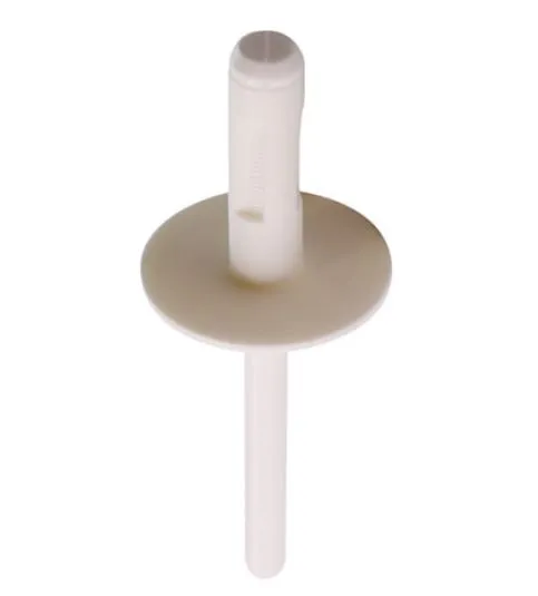 Restagraf 130343 plastnagle Ø 6 mm 10-pk BMW