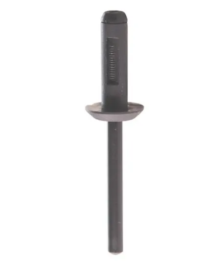 Restagraf RG 130341 plastnagle Ø 6 mm 10pk BMW