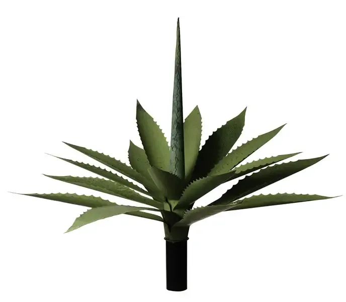 Gysinge Agave kobberplante 15 blad grønn