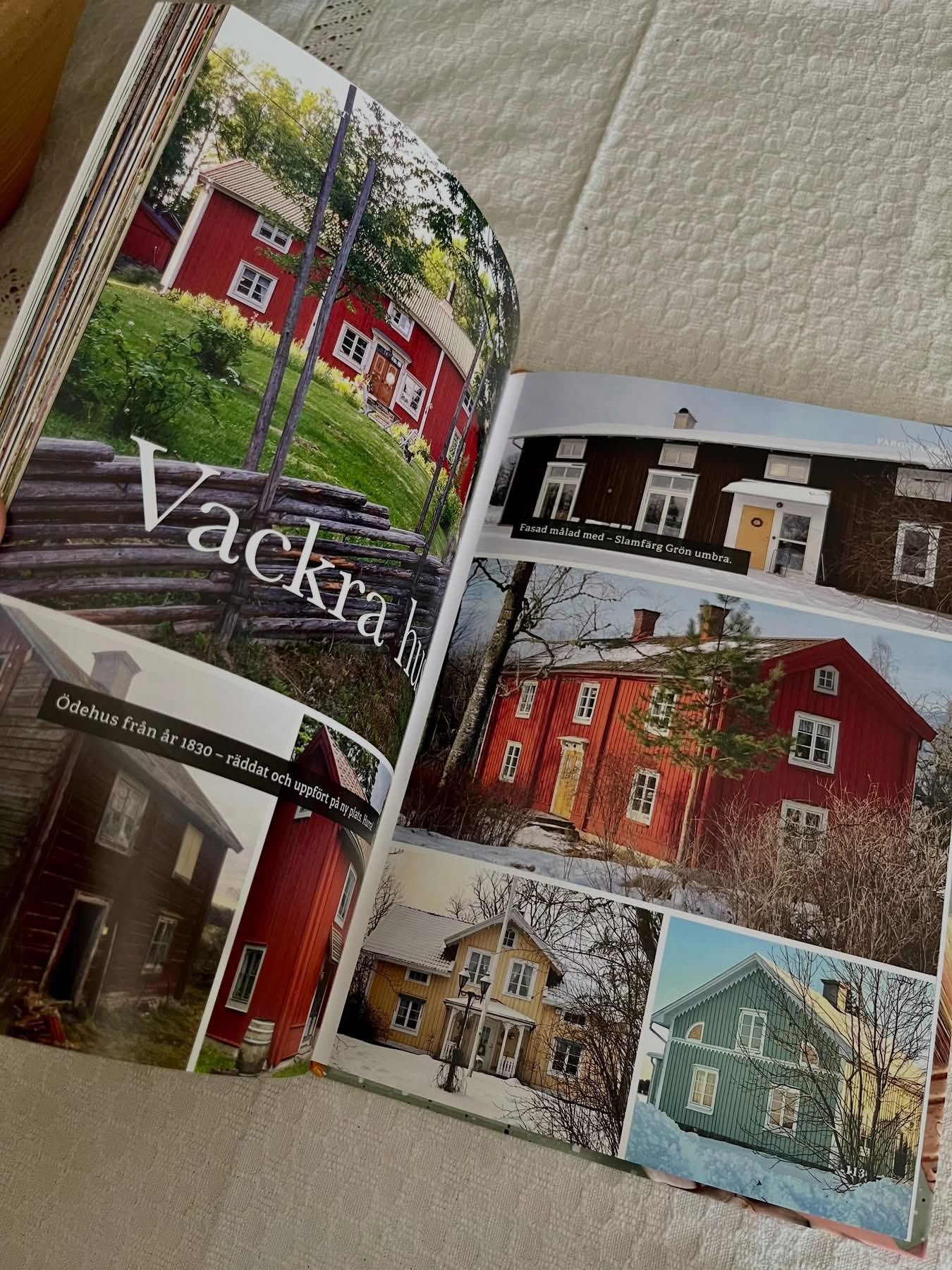 Ovolin Färgstänkt bok fargesetting inne og ute