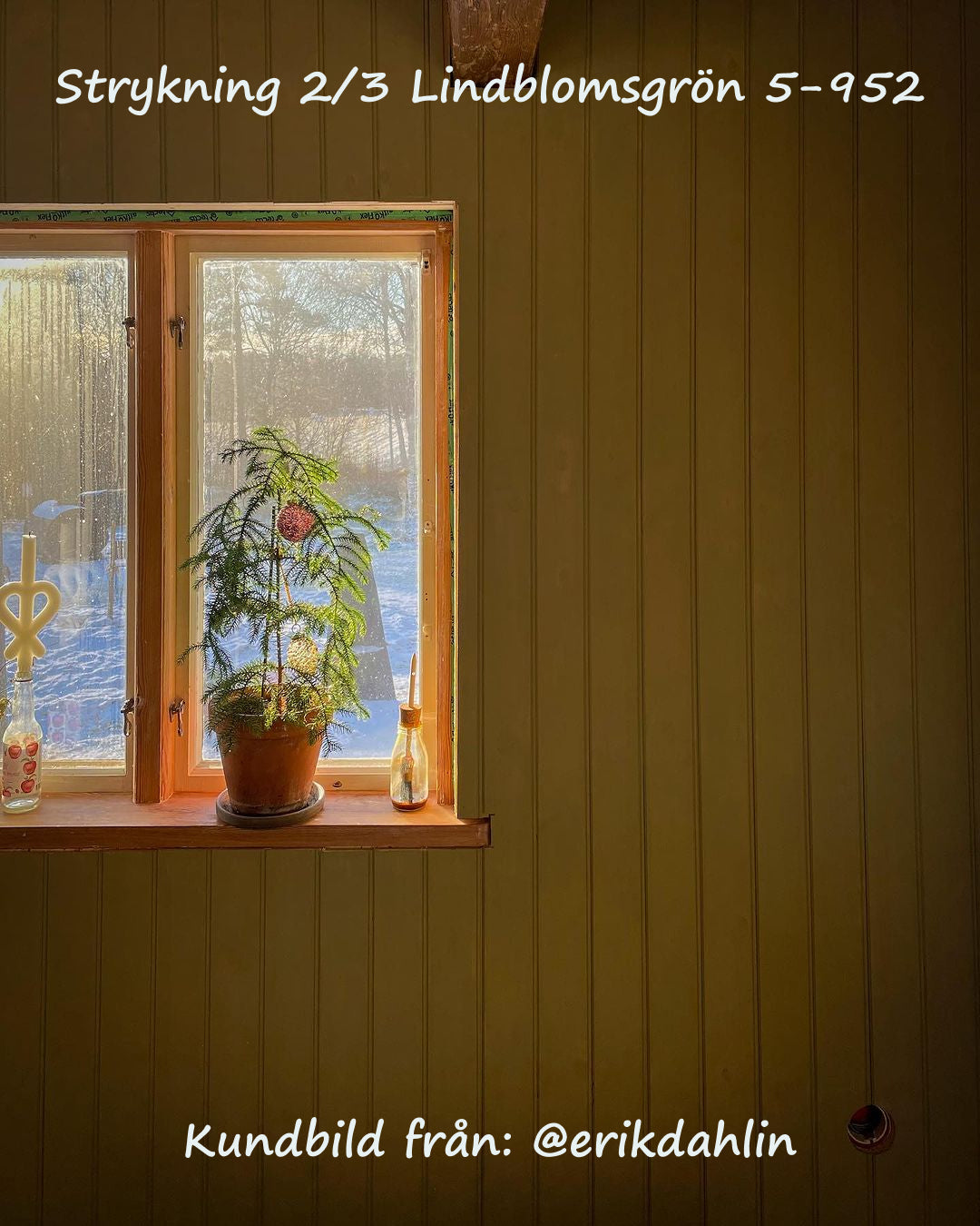 Ovolin Nedtonet lindblomsgrønn 5-932 maling prøve