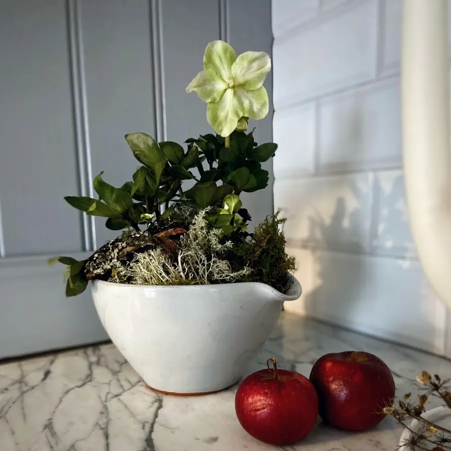 Gysinge spillkum vispebolle terrakotta hvit glasert