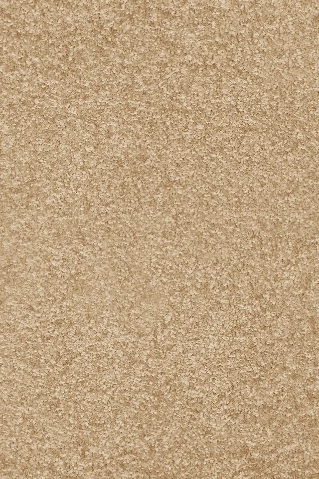 Invictus Spartacus 30 teppeflis Blanced Almond 2,52 m²