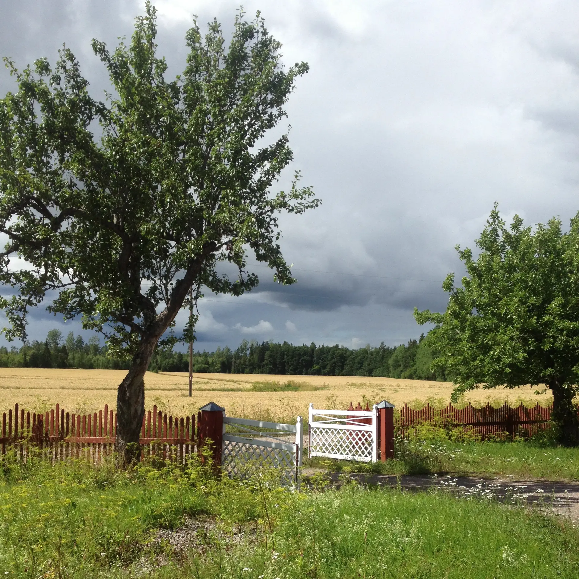 Gysinge Grindlås galvanisert jern til tre- og jerngrind